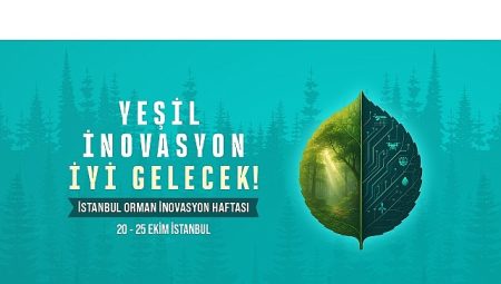 Dünya Ormancılığının Geleceği İstanbul’da Konuşulacak