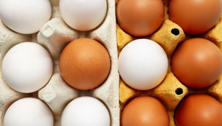 Yumurta Üretimi 11 Aydır Geriliyor: Fiyat Artışları Vatandaşı Zorluyor!