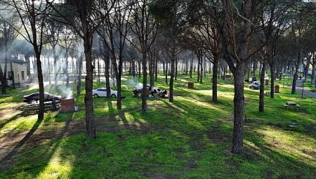 Altınova Mesire Alanı Hizmete Açıldı