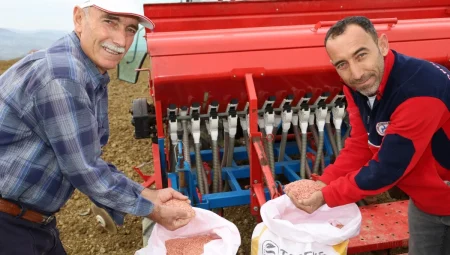 Kocaeli’nde Hibeli Tohumlar Tarlalarla Buluştu