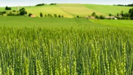 Tarım-ÜFE Yıllık %45,40 Arttı: Tek Yıllık Bitkisel Ürünlerde Sert Fiyat Artışı