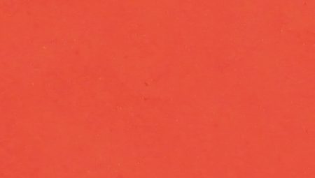 Mercan Rengi Nedir? Özellikleri ve Kullanım Alanları